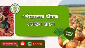 পিঁয়াজের ঝাঁঝে – ভোক্তা জ্বলে