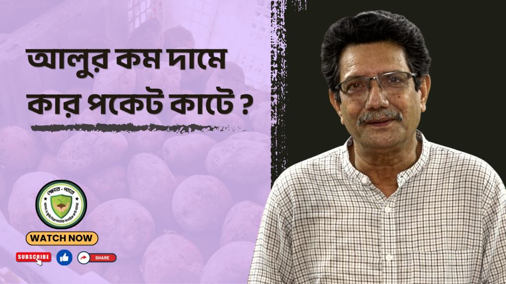 আলুর কম দামে কার পকেট কাটে