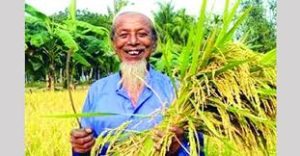 কৃষির কারনেই শহরের থেকে দারিদ্র বেশি কমেছে গ্রামেই !