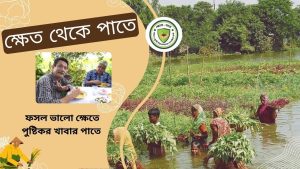 যা ছিলো ক্ষেতে তাই তো এখন পাতে