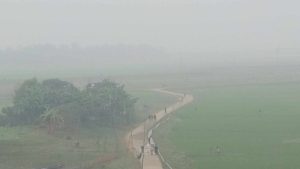 আরও বাড়বে শীত