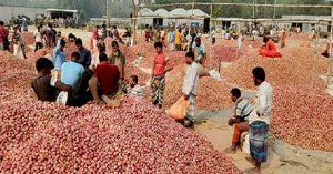 হাত ঘুরেই পিঁয়াজের দাম ৬০ টাকা থেকে ১২০ টাকা