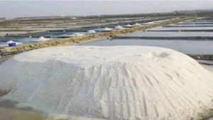 মজুদ থাকার পরেও লবণ আমদানির অনুমতি- উৎপাদক পর্যায়ে শঙ্কা