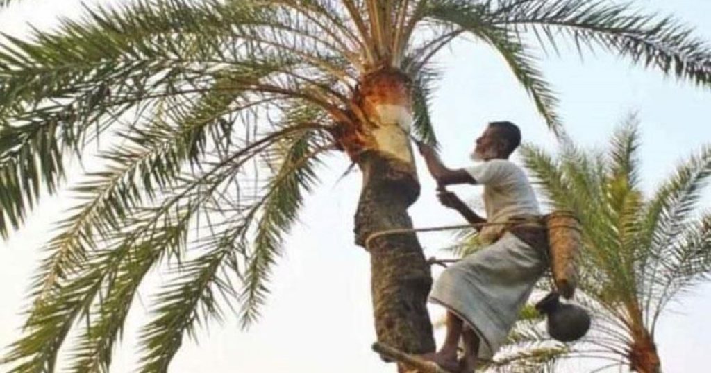 ৩৫ জেলায় নিপাহ ভাইরাসের সংক্রমণ শনাক্ত , খেজুরের রস পানে সতর্কতার পরামর্শ