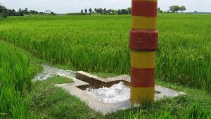 সরকারের আত্মঘাতী সিদ্ধান্ত- ২৭ লক্ষ টন খাদ্য উৎপাদন কম হওয়ার আশঙ্কা