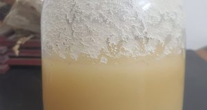 সরিষা ফুলের মধু
