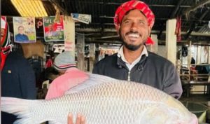 জেলের জালে ২২ কেজি ওজনের মাছ