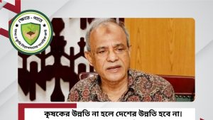 আমদানি করে হবে না, উৎপাদন বাড়াতে হবে
