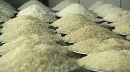 দাম কমাতে সরু চালের শুল্ক প্রত্যাহারের সুপারিশ বাংলাদেশ ব্যাংকের