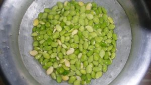 পুষ্টিকর খাদ্য শিমের বিচি