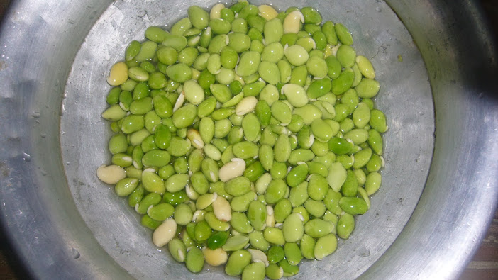 পুষ্টিকর খাদ্য শিমের বিচি