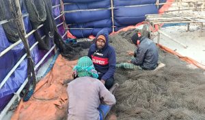 প্রচণ্ড শীতে দুবলার চরে মাছ  আসছে কম- কমে গেছে শুঁটকি উৎপাদন