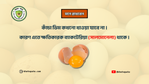 কাচা ডিম খাবেন না