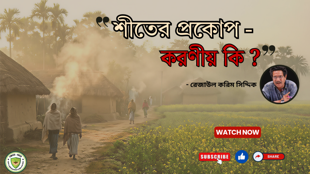 শীতের প্রকোপ করণীয় কি