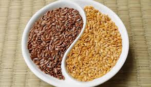 তিসি , অসাধারণ এক পুষ্টিকর খাদ্য