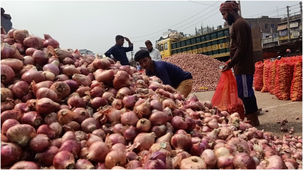 ফলন বেশি হলেও দাম পাচ্ছেন না পিঁয়াজচাষীরা