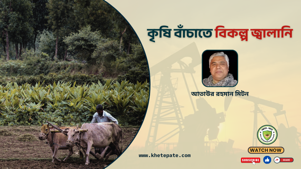 চাই বিকল্প জ্বালানি