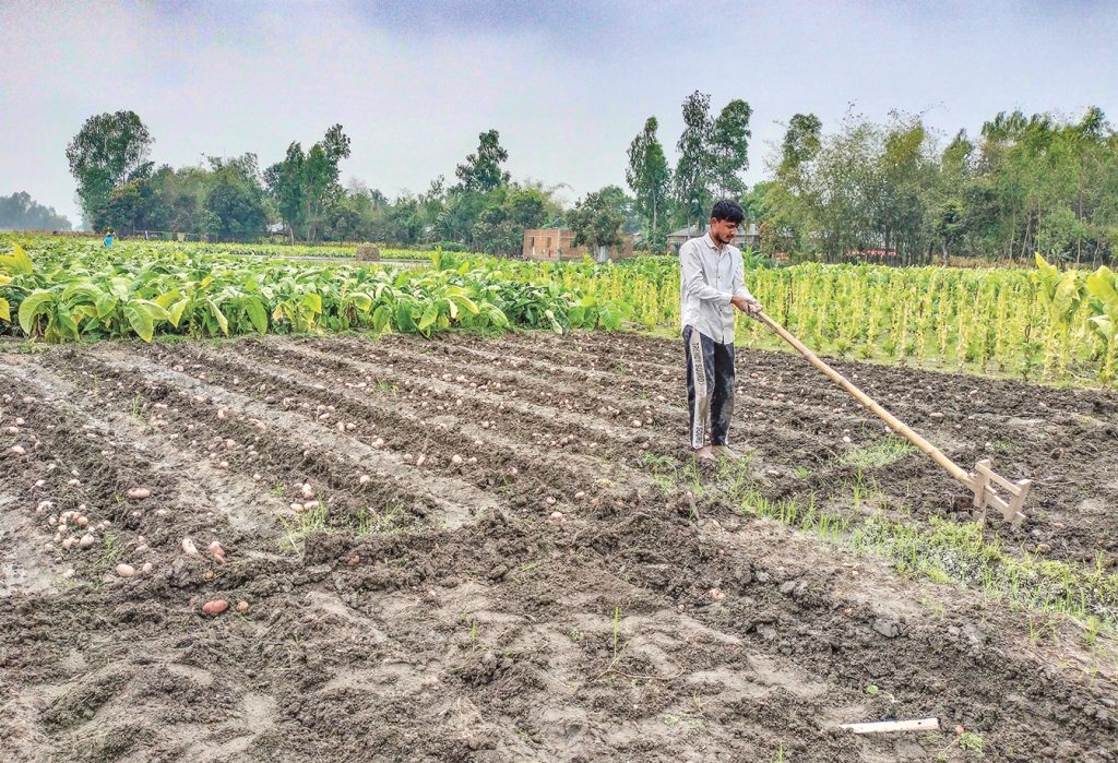 কৃষকের ঈদ, আনন্দের নাকি দুঃখের?