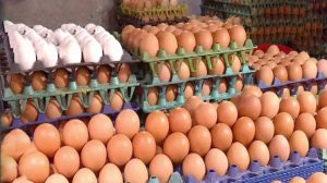 প্রতি  ডিমে খামারির লোকসান  সাড়ে ৩ টাকা, ব্যবসায়ীর লাভ ৫ টাকা