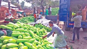 শুকলালহাট এখন লাউয়ের বাজার