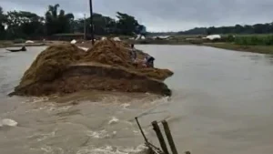 সুনামগঞ্জের এরনবিল হাওরে বাঁধ ভেঙে পানি ঢুকছে