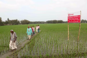 কৃষি ও সামাজিক উন্নয়নে ব্র্যাকের  বিশেষ কর্মসূচি