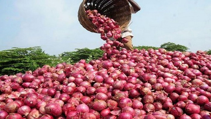 পেঁয়াজে স্বয়ংসম্পূর্ণতার পথে বাংলাদেশ: কমছে আমদানি নির্ভরতা