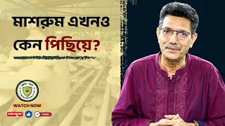 মাশরুম এখনও কেন পিছিয়ে?
