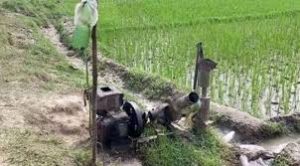 কৃষিতে সেচকাজে বিদ্যুৎ সরবরাহ সচল রাখতে ঢাকায় লোডশেডিং , সংসদে জ্বালানি প্রতিমন্ত্রী