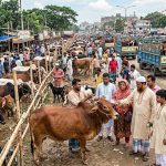 ‘কোরবানি অর্থনীতি’: গ্রামীণ ও সামষ্টিক বাজার চাঙ্গা করার মেগা উৎসব