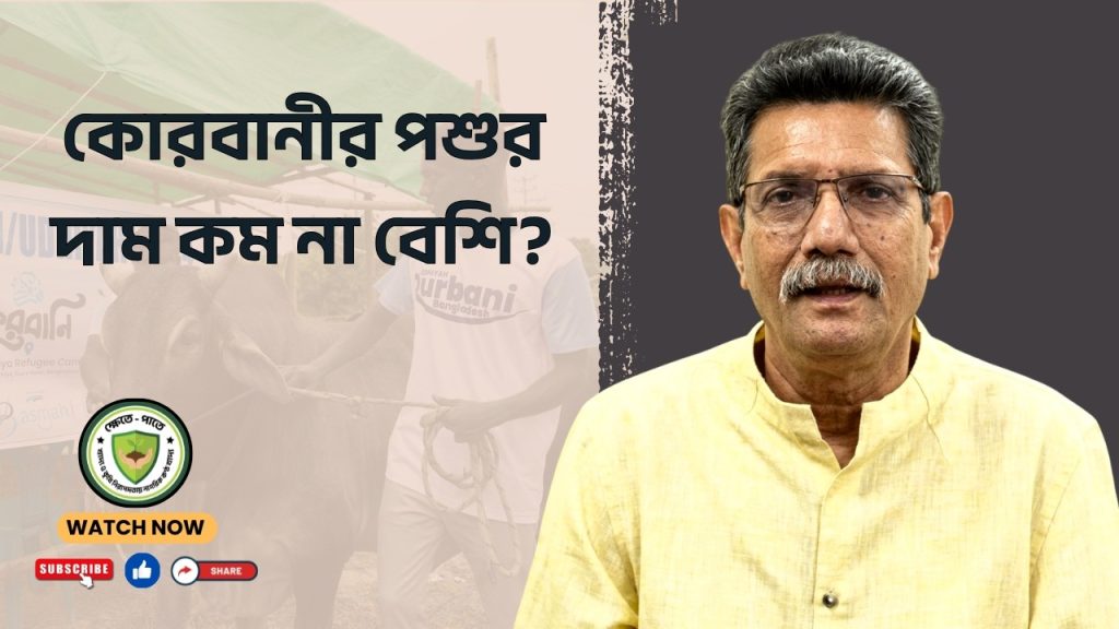 কোরবানীর পশুর দাম কম না বেশি?