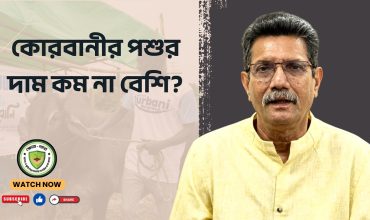 কোরবানীর পশুর দাম কম না বেশি?
