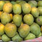 জাগ দিয়ে  পাকানো আম , দেখতে সুন্দর ভেতরে বিষ !