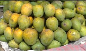 জাগ দিয়ে পাকানো আম , দেখতে সুন্দর ভেতরে বিষ !