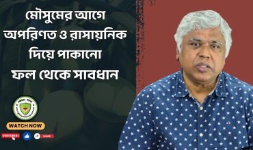 মৌসুমের আগে অপরিণত ও রাসায়নিক দিয়ে পাকানো ফল থেকে সাবধান !