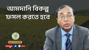 আমদানি বিকল্প ফসল করতে হবে
