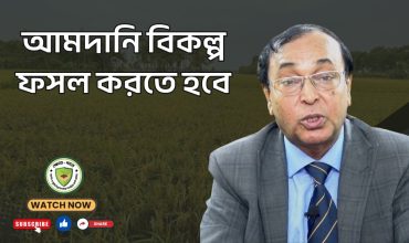 আমদানি বিকল্প ফসল করতে হবে