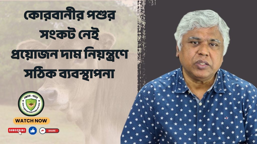 কোরবানীর পশুর সংকট নেই প্রয়োজন দাম নিয়ন্ত্রণে সঠিক ব্যবস্থাপনা