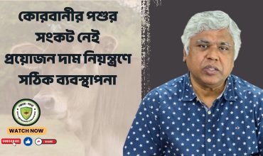 কোরবানীর পশুর সংকট নেই প্রয়োজন দাম নিয়ন্ত্রণে সঠিক ব্যবস্থাপনা