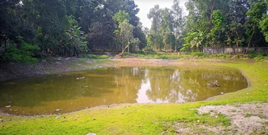 রংপুর বিভাগে মাছের ঘাটতি এখনও ১৯ হাজার টন