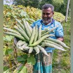 কেঁচো সারে ভাগ্য বদল: দেবীগঞ্জের সমিজ উদ্দিন এখন অন্য কৃষকদের মডেল