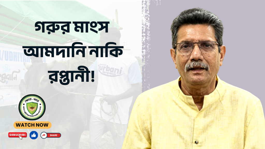 গরুর মাংস আমদানি নাকি রপ্তানী!