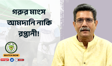 গরুর মাংস আমদানি নাকি রপ্তানী!
