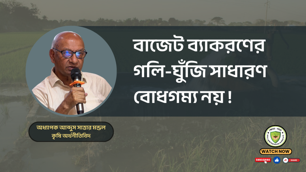 বাজেট ব্যাকরণের গলি-ঘুঁজি সাধারণ বোধগম্য নয় !