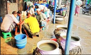তীব্র রেণু সংকটে বাগেরহাটের চিংড়ি শিল্প: উৎপাদন ব্যাহত হওয়ার শঙ্কা