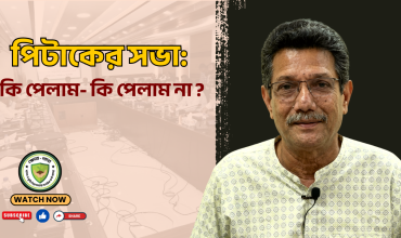 পিটাকের সভা: কি পেলাম- কি পেলাম না?