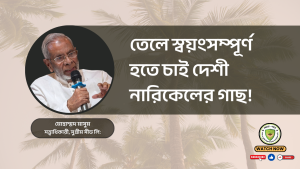 তেলে স্বয়ংসম্পূর্ণ হতে চাই দেশী নারিকেলের গাছ