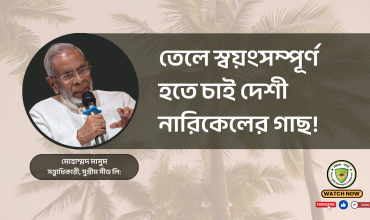 তেলে স্বয়ংসম্পূর্ণ হতে চাই দেশী নারিকেলের গাছ