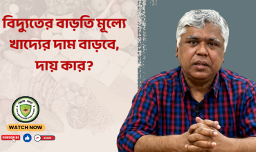 বিদ্যুতের বাড়তি মূল্যে খাদ্যের দাম বাড়বে, দায় কার?