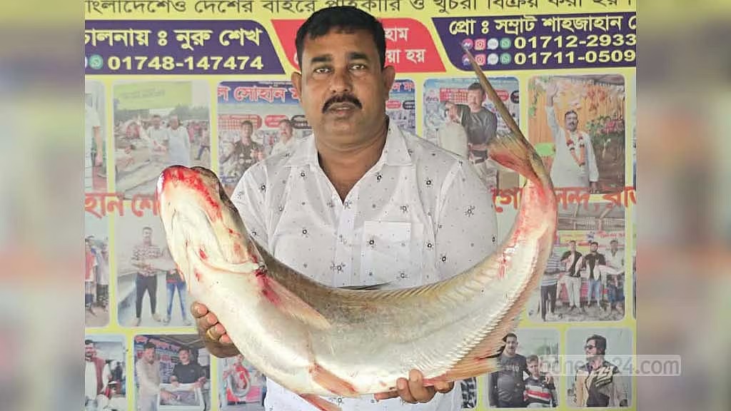 ১১ কেজির ঢাই মাছ বিক্রী হলো ৫৯ হাজার টাকায় !